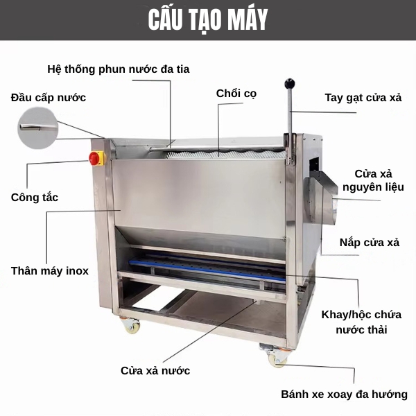Cấu tạo máy chà rửa gọt vỏ củ quả Yanwoo CX-200