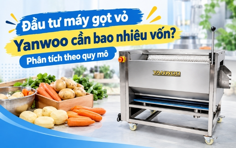 Đầu tư máy gọt vỏ Yanwoo cần bao nhiêu vốn Phân tích theo quy mô