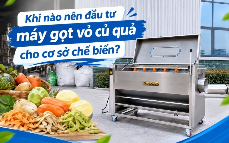 Khi nào nên đầu tư máy gọt vỏ củ quả cho cơ sở chế biến