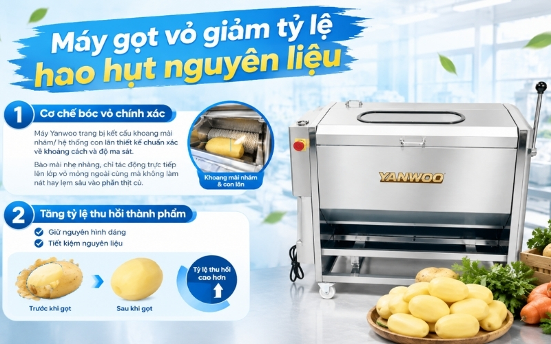 Máy gọt vỏ giảm tỷ lệ hao hụt nguyên liệu