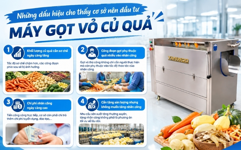 Những dấu hiệu cho thấy cơ sở nên đầu tư máy gọt vỏ củ quả