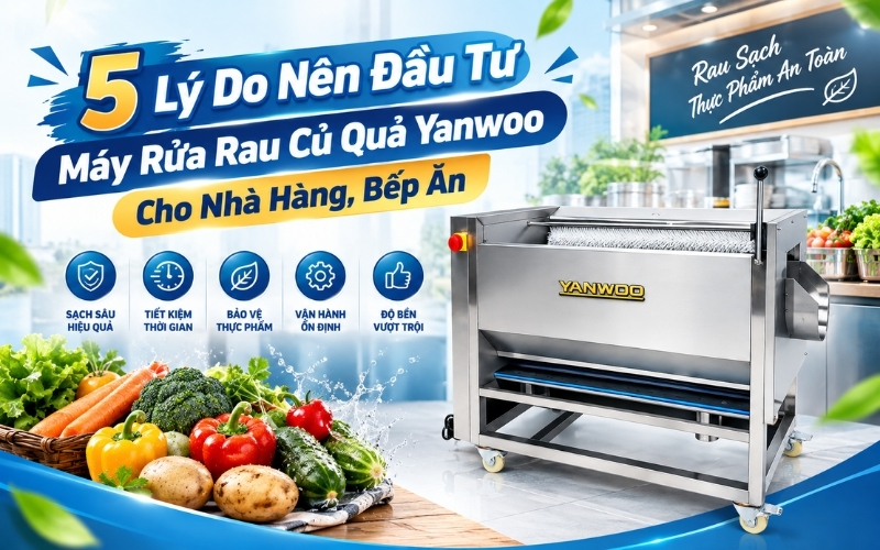5 Lý Do Nên Đầu Tư Máy Rửa Rau Củ Quả Yanwoo Cho Nhà Hàng, Bếp Ăn