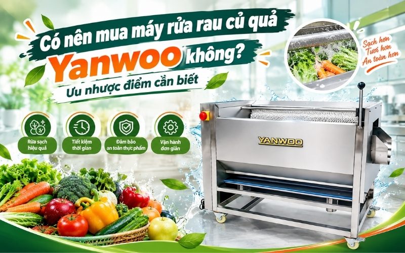 Có nên mua máy rửa rau củ quả Yanwoo không? Ưu nhược điểm cần biết 