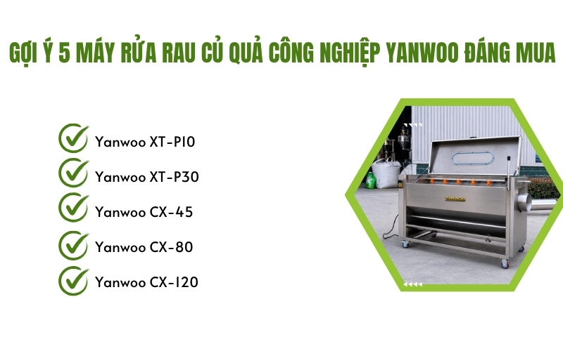 Gợi ý 5 máy rửa rau củ quả công nghiệp Yanwoo đáng mua