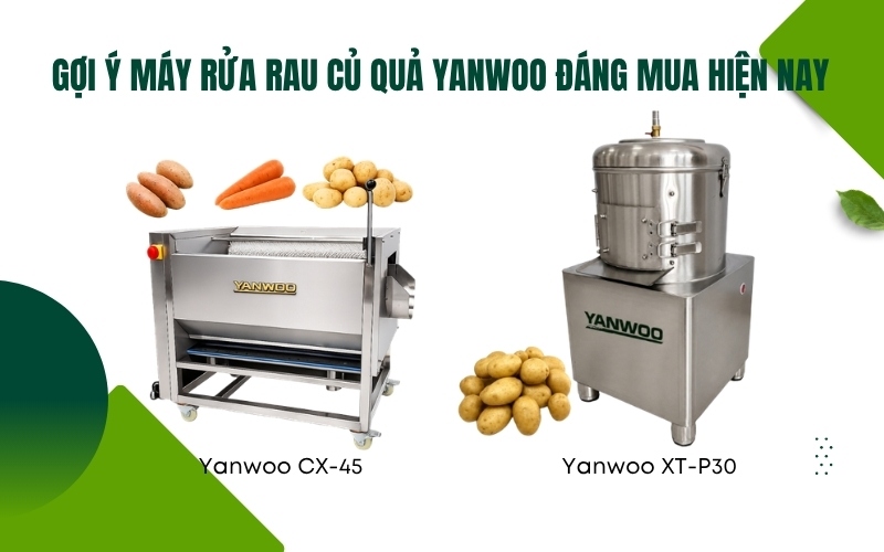 Gợi ý máy rửa rau củ quả Yanwoo đáng mua hiện nay