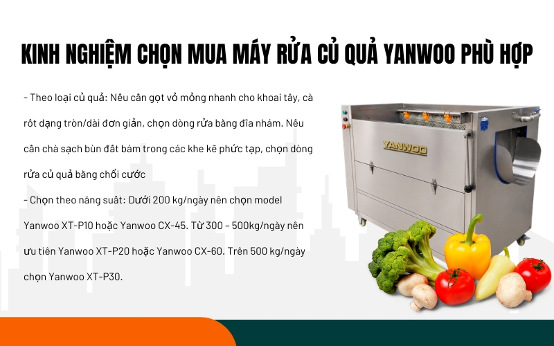 Kinh nghiệm chọn mua máy rửa củ quả Yanwoo phù hợp
