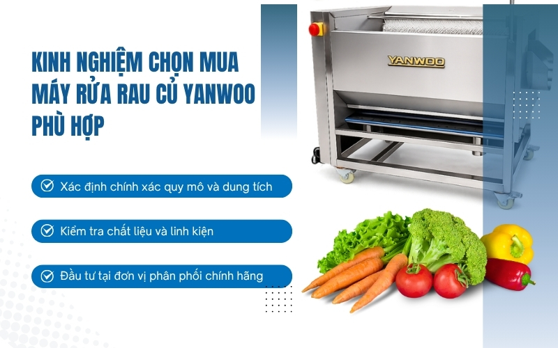Kinh nghiệm chọn mua máy rửa rau củ Yanwoo phù hợp