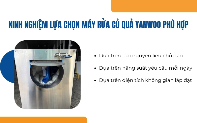 Kinh nghiệm lựa chọn máy rửa củ quả Yanwoo phù hợp