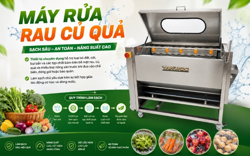 Máy rửa củ quả là gì