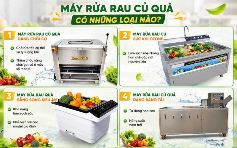 Máy rửa rau củ quả có những loại nào