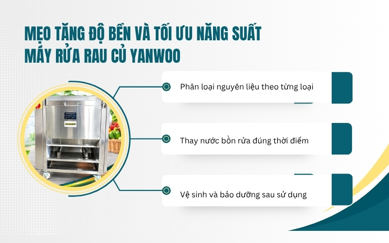 Mẹo tăng độ bền và tối ưu năng suất máy rửa rau củ Yanwoo
