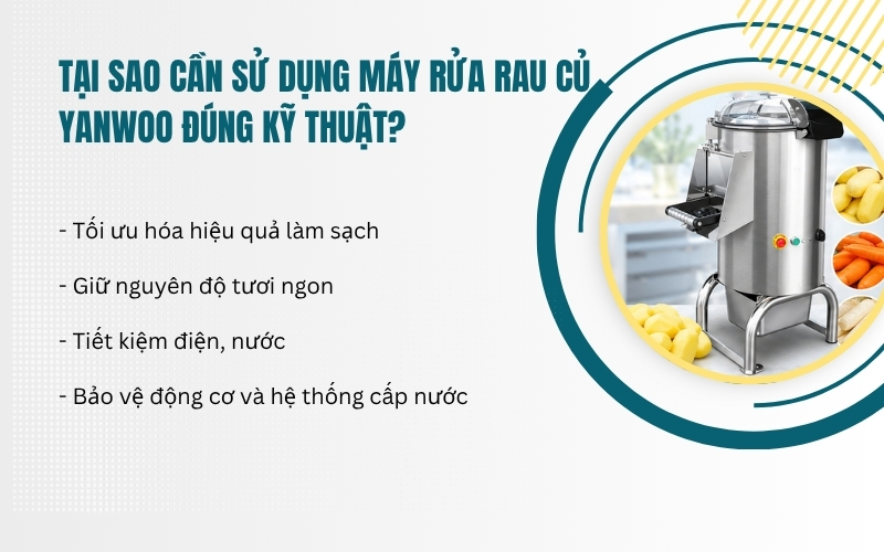 Tại sao cần sử dụng máy rửa rau củ Yanwoo đúng kỹ thuật?