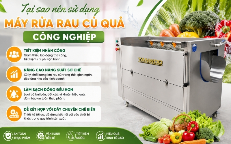 Tại sao nên sử dụng máy rửa rau củ quả công nghiệp thay cho rửa thủ công