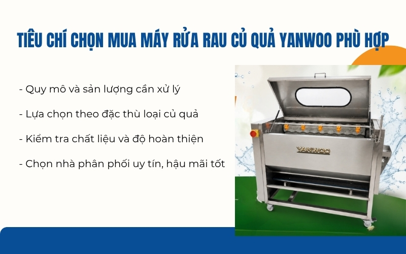 Tiêu chí chọn mua máy rửa rau củ quả Yanwoo phù hợp
