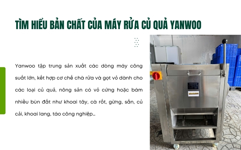 Tìm hiểu bản chất của máy rửa củ quả Yanwoo