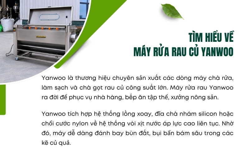 Tìm hiểu về Máy rửa rau củ Yanwoo
