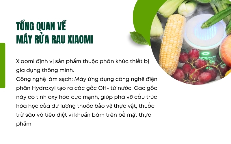 Tổng quan về Máy rửa rau Xiaomi