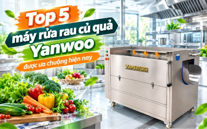 Top 5 máy rửa rau củ quả Yanwoo được ưa chuộng hiện nay