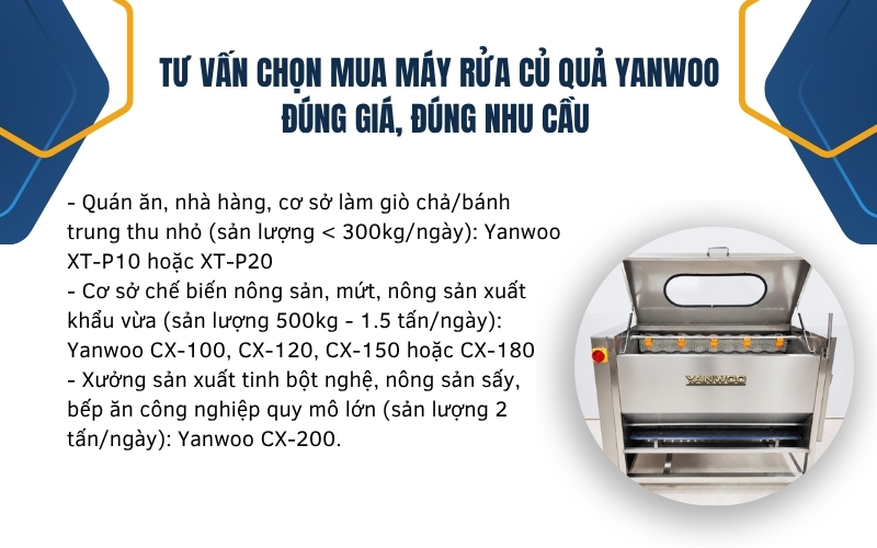 Tư vấn chọn mua máy rửa củ quả Yanwoo đúng giá, đúng nhu cầu