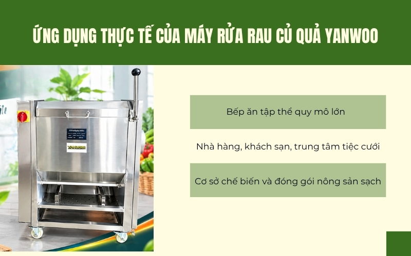 Ứng dụng thực tế của máy rửa rau củ quả Yanwoo