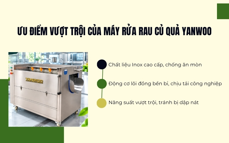 Ưu điểm vượt trội của máy rửa rau củ quả Yanwoo