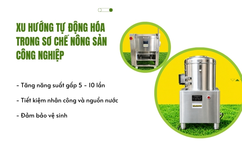 Xu hướng tự động hóa trong sơ chế nông sản công nghiệp