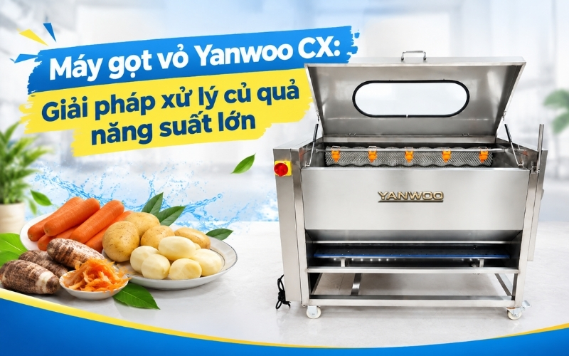 Máy gọt vỏ Yanwoo CX Giải pháp xử lý củ quả năng suất lớn
