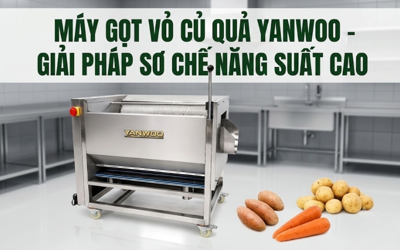 Máy Gọt Vỏ Củ Quả Yanwoo - Giải Pháp Sơ Chế Năng Suất Cao