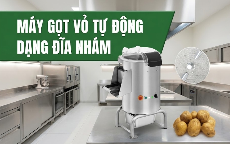 Máy gọt vỏ tự động dạng đĩa nhám
