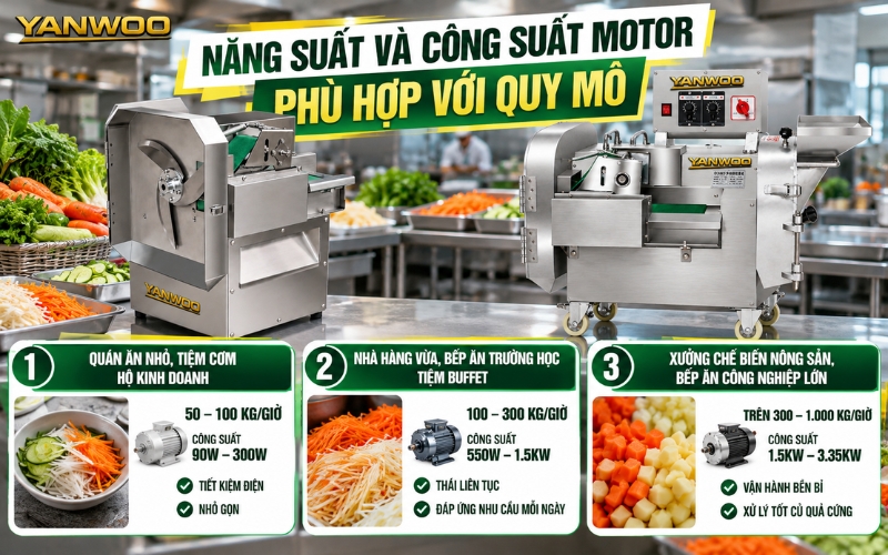 Năng suất và công suất motor phù hợp với quy mô