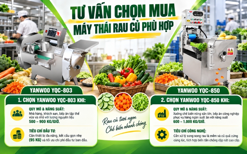 Nên chọn máy thái rau củ nào cho nhu cầu thực tế của bạn