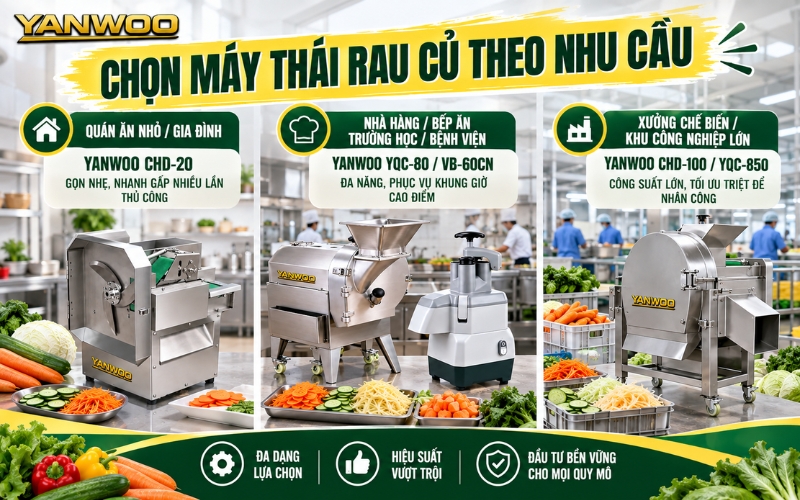 Nên chọn máy thái rau củ quả nào theo nhu cầu?