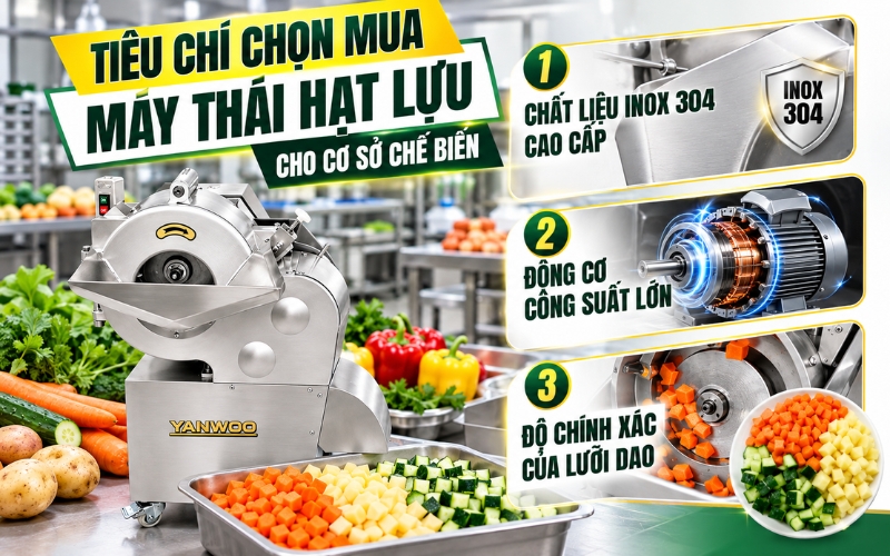 Tiêu chí lựa chọn máy thái hạt lựu cho cơ sở chế biến