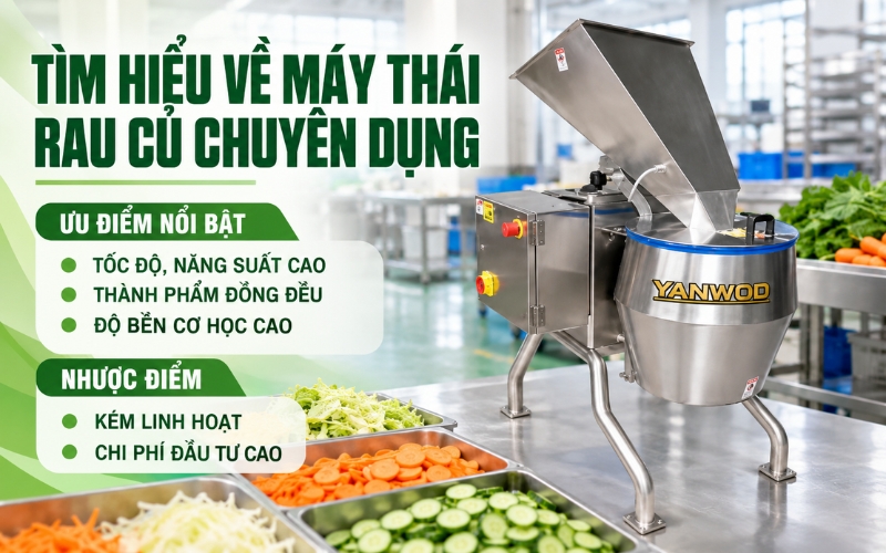 Tìm hiểu về máy thái rau củ chuyên dụng