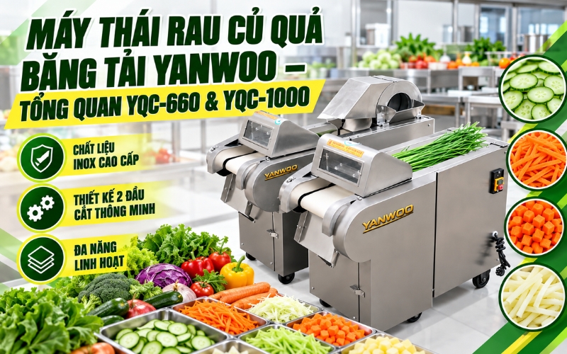 Tổng quan về dòng máy thái rau củ quả băng tải Yanwoo