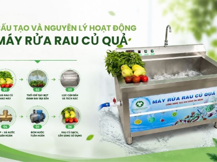 Cấu tạo và nguyên lý hoạt động máy rửa rau củ quả