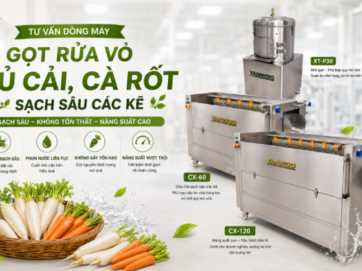 Tư vấn dòng máy gọt rửa vỏ củ cải, cà rốt sạch sâu các kẽ