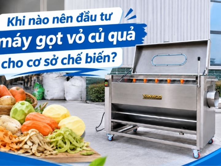 Khi nào nên đầu tư máy gọt vỏ củ quả cho cơ sở chế biến?