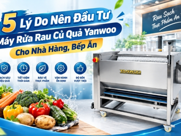 5 Lý Do Nên Đầu Tư Máy Rửa Rau Củ Quả Yanwoo Cho Nhà Hàng, Bếp Ăn