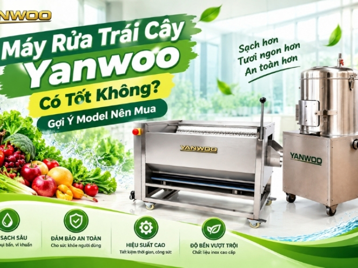 Máy Rửa Trái Cây Yanwoo Có Tốt Không? Gợi Ý Model Nên Mua