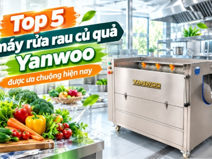 Top 5 máy rửa rau củ quả Yanwoo được ưa chuộng hiện nay