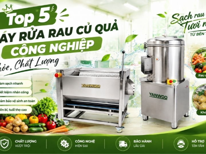 Top 5 máy rửa rau củ quả công nghiệp khỏe, chất lượng 