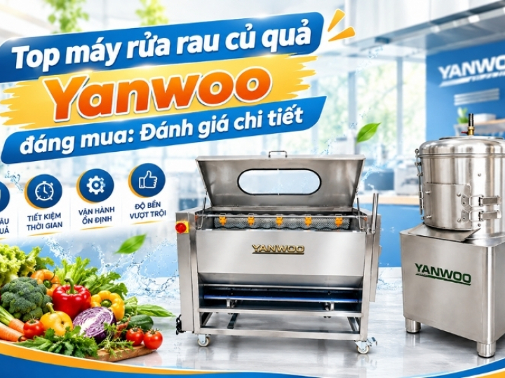 Top máy rửa rau củ quả Yanwoo đáng mua: Đánh giá chi tiết